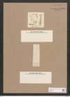 Navicula sp. (de-Toni-Nr.: Genus 1) Zeichnungen Sammlung Grunow Nr. 1600 (NHMW-BOT-W0368147)